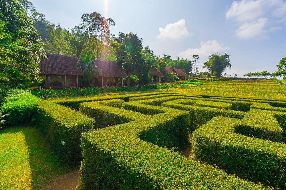 Kebun Mawar Situhapa Hotel