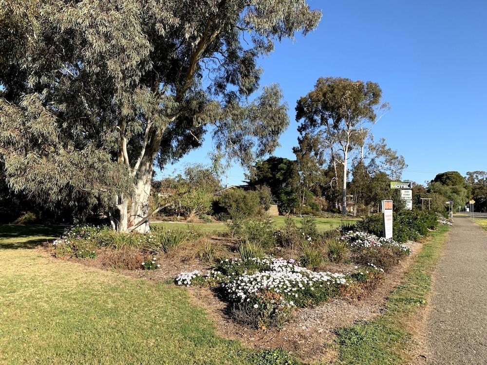 Kingswood Motel & Apartments