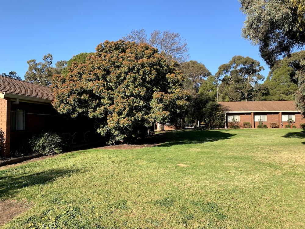 Kingswood Motel & Apartments