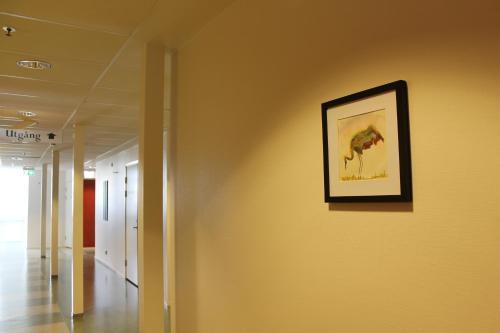 Pronova Hotell & Vandrarhem