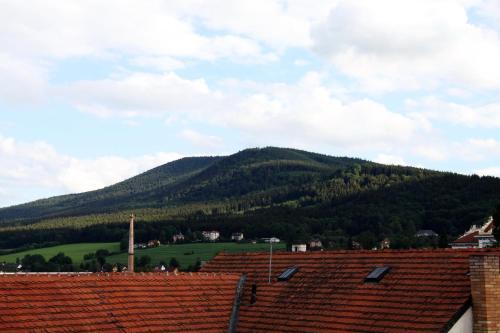 Koruna Prachatice