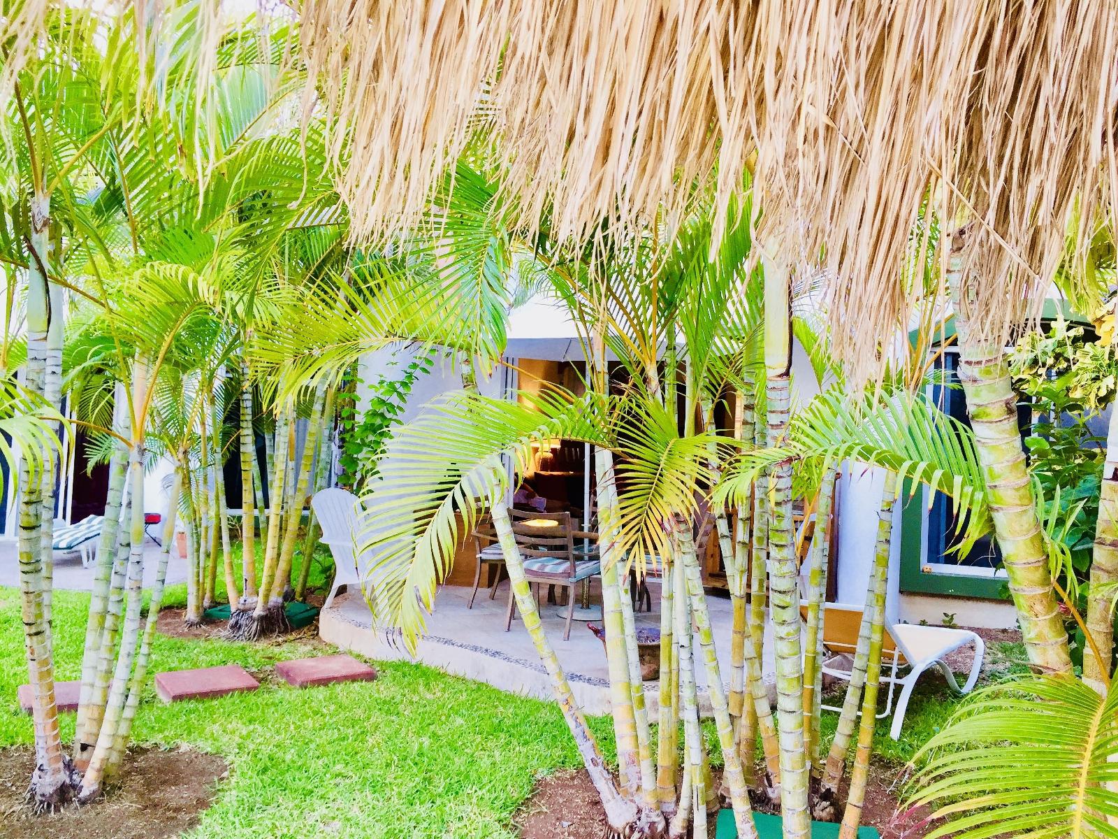 Hotel Dolce Vita Caribe Golf