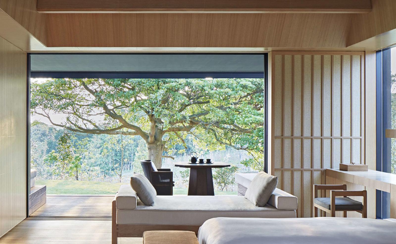 Amanemu