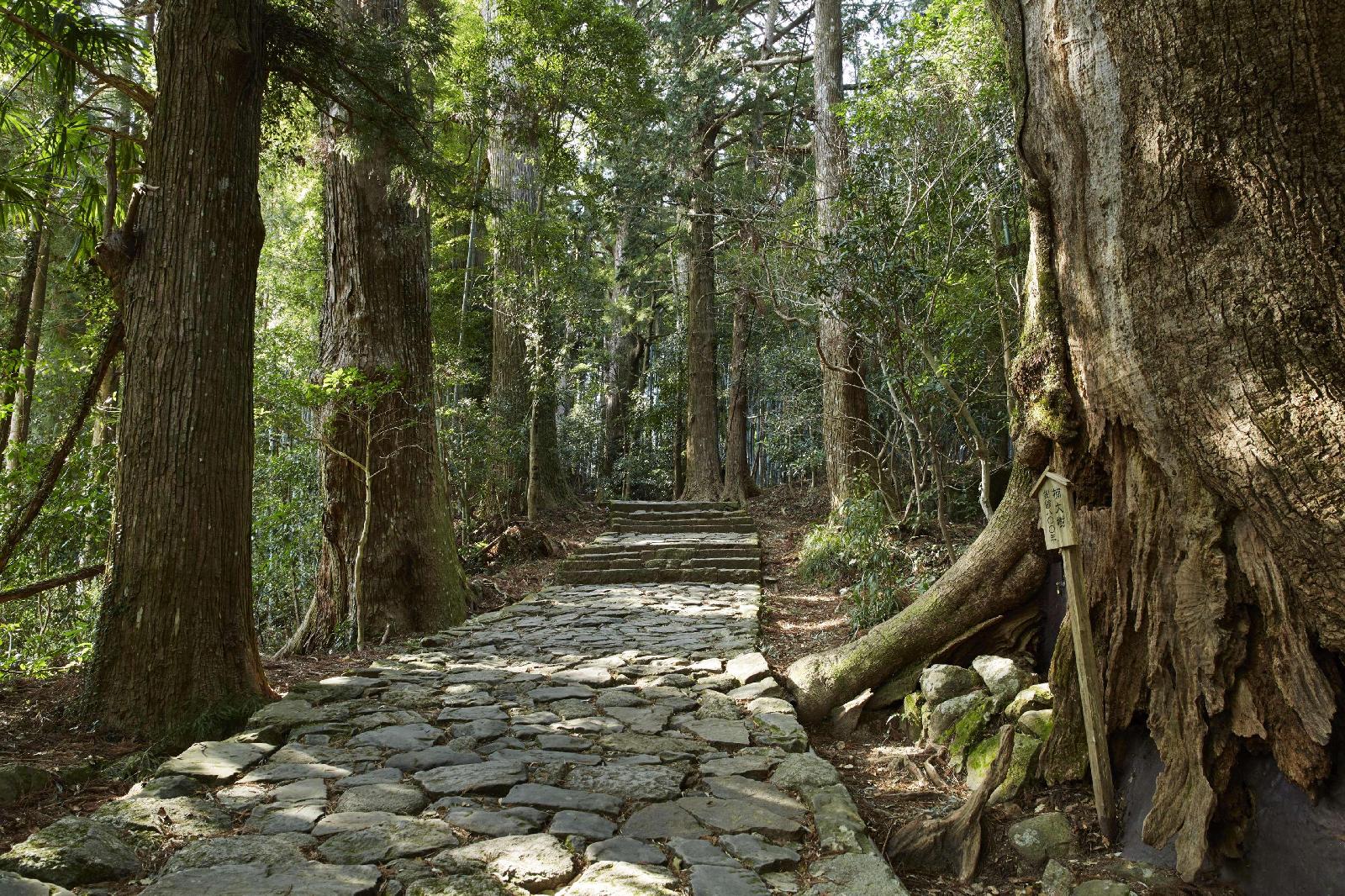 Amanemu