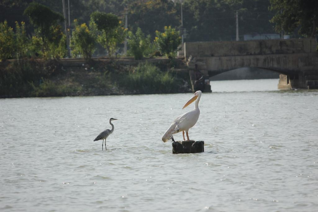 Hotel Shiv Lake
