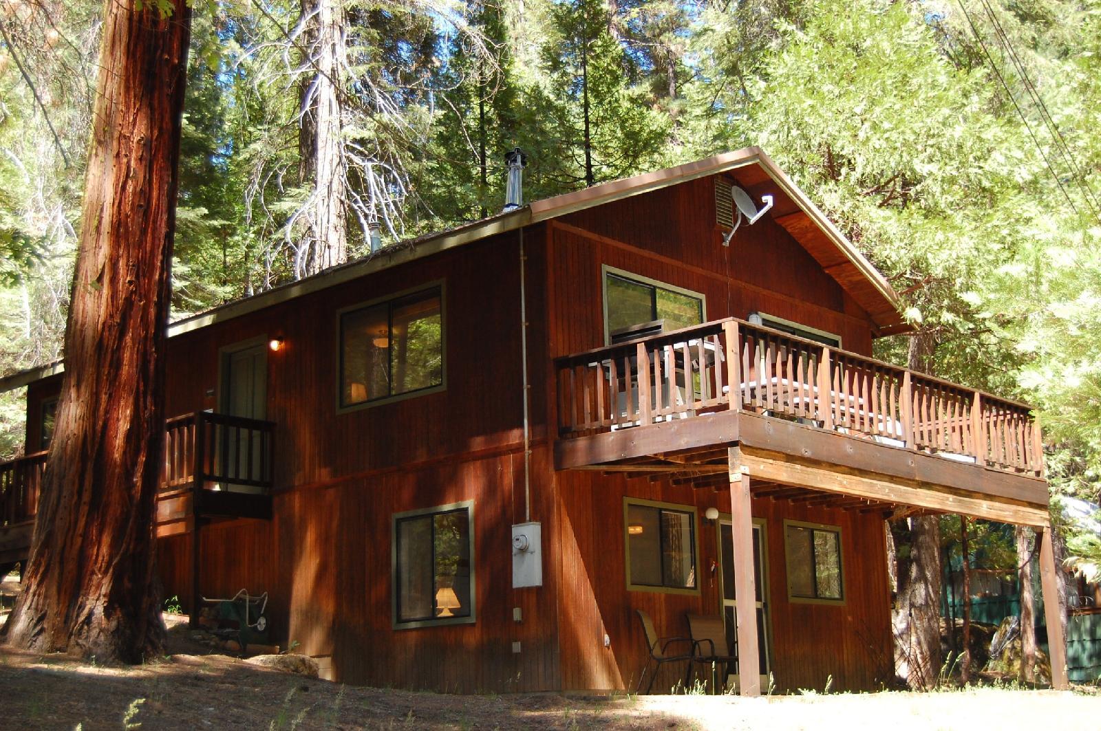 The Redwoods in Yosemite