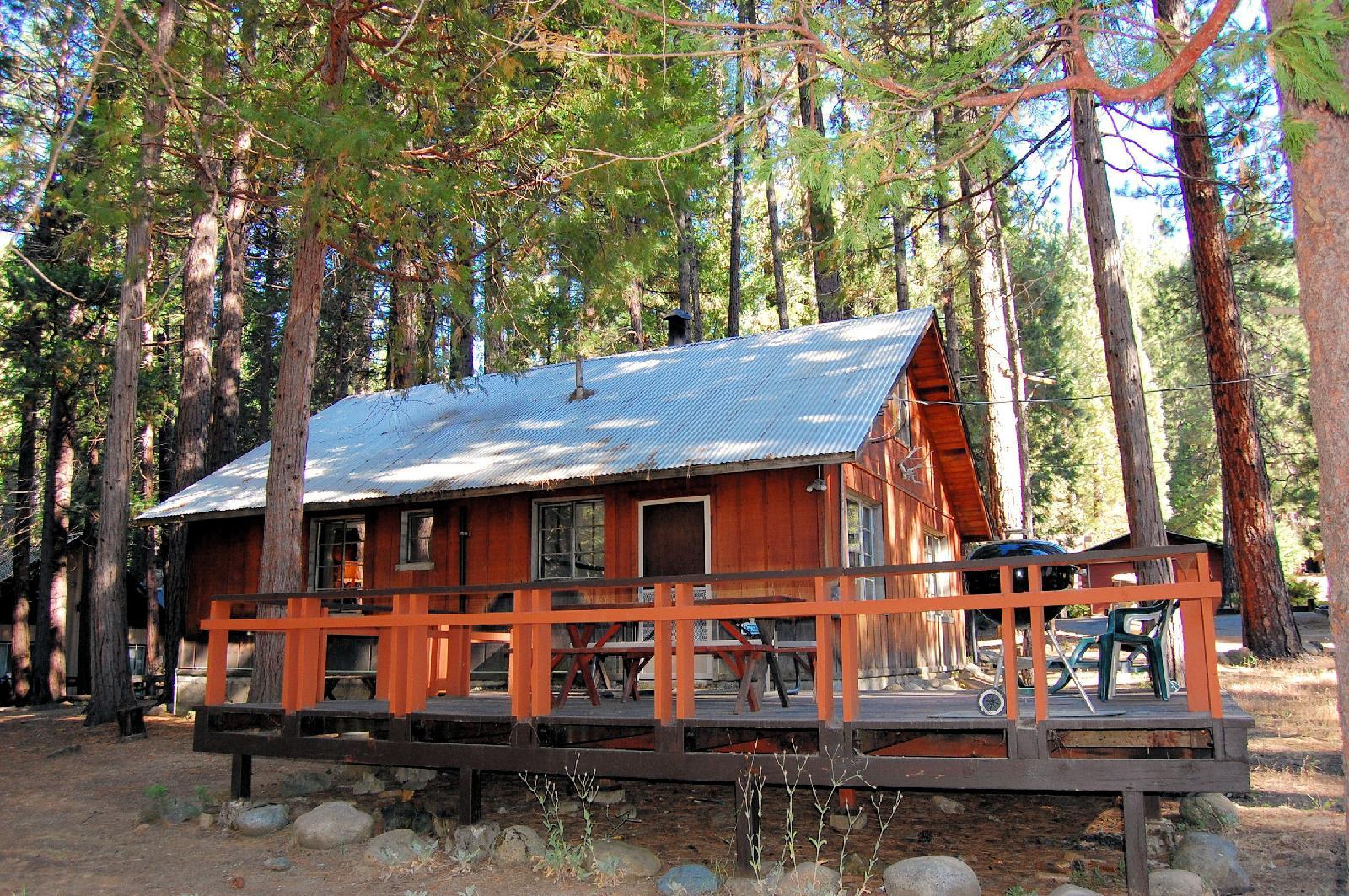 The Redwoods in Yosemite