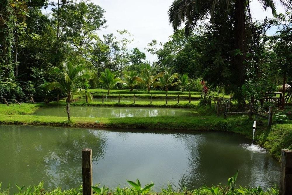 Rancho Las Tilapias
