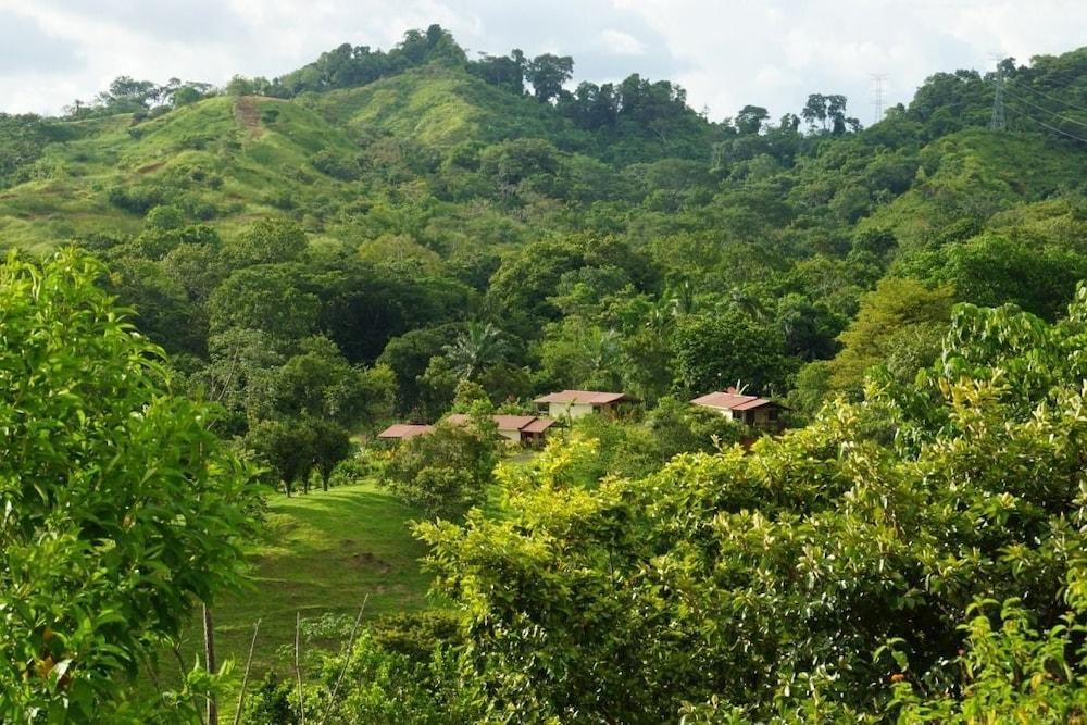 Rancho Las Tilapias