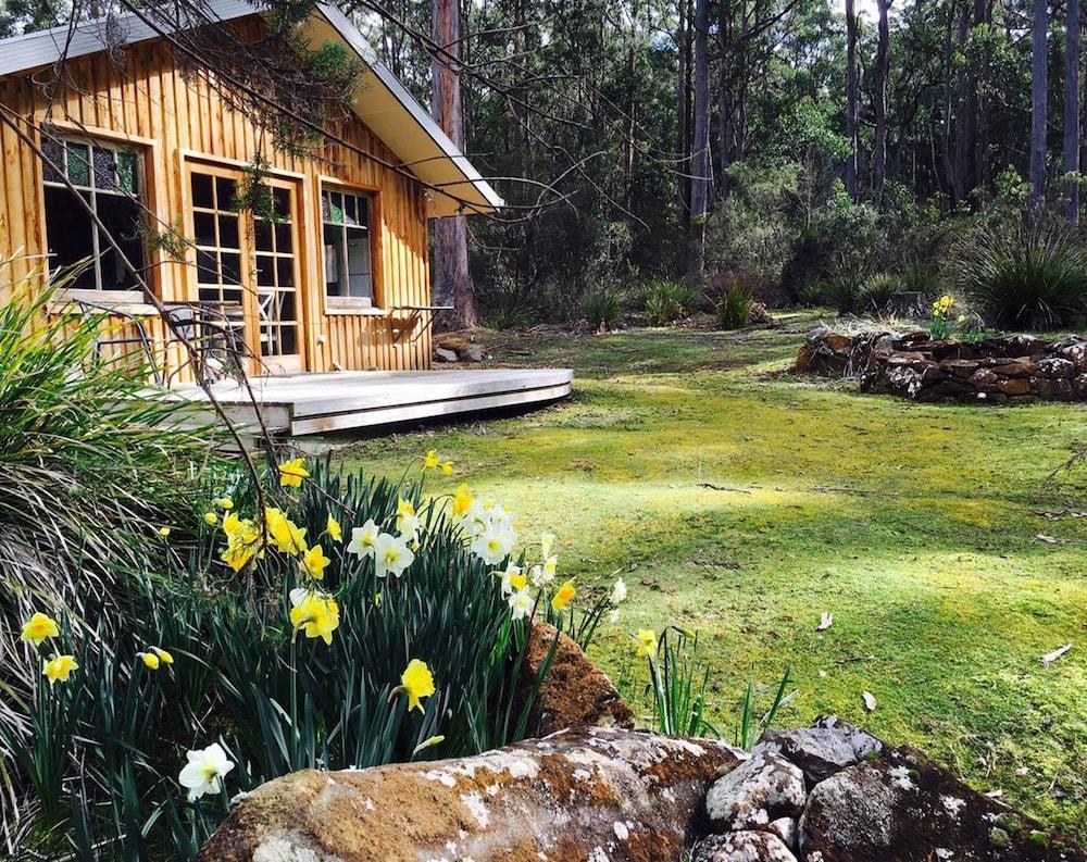 Sainty's Creek Cottage