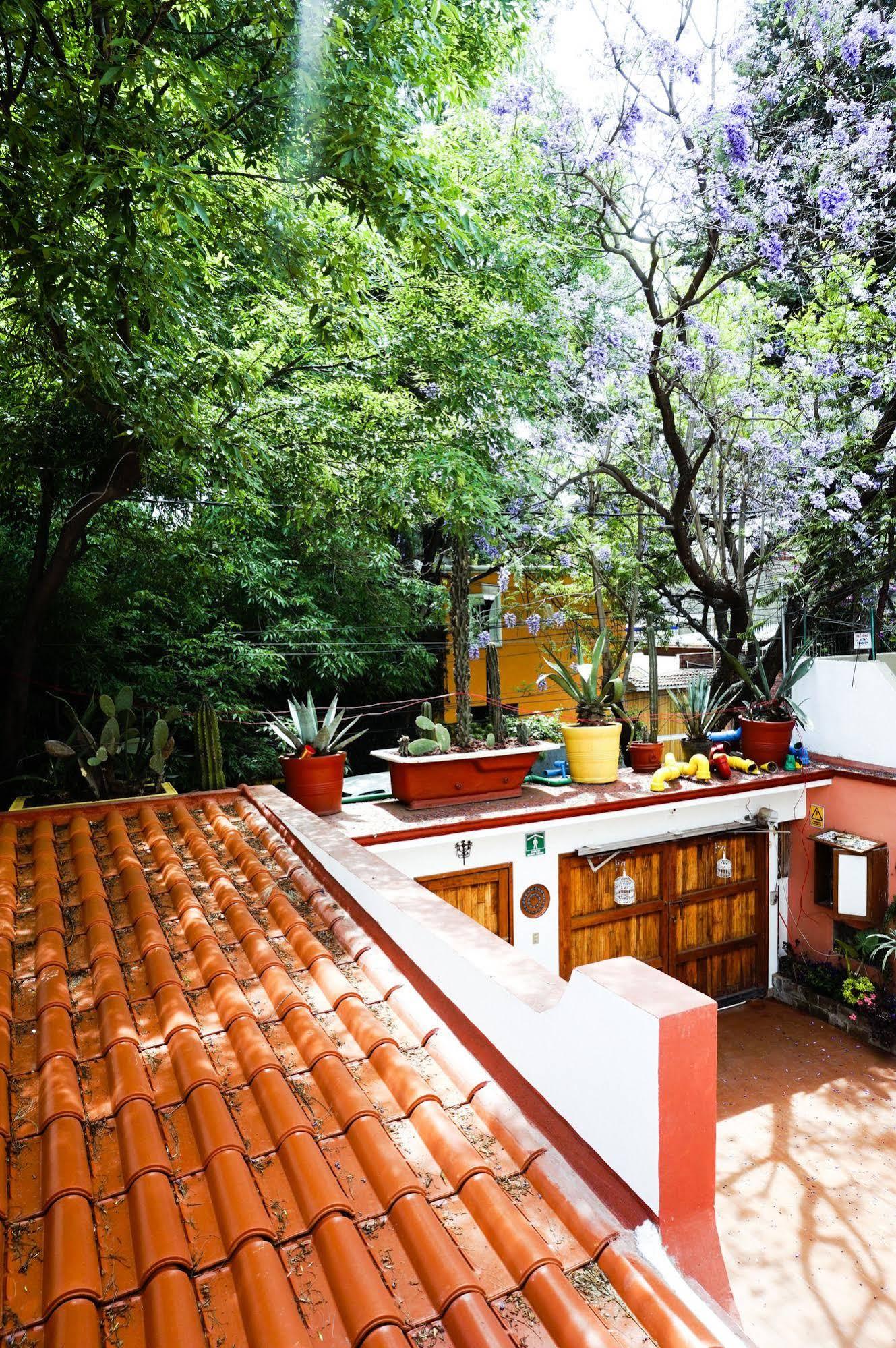 Casa Jacinta Guest House