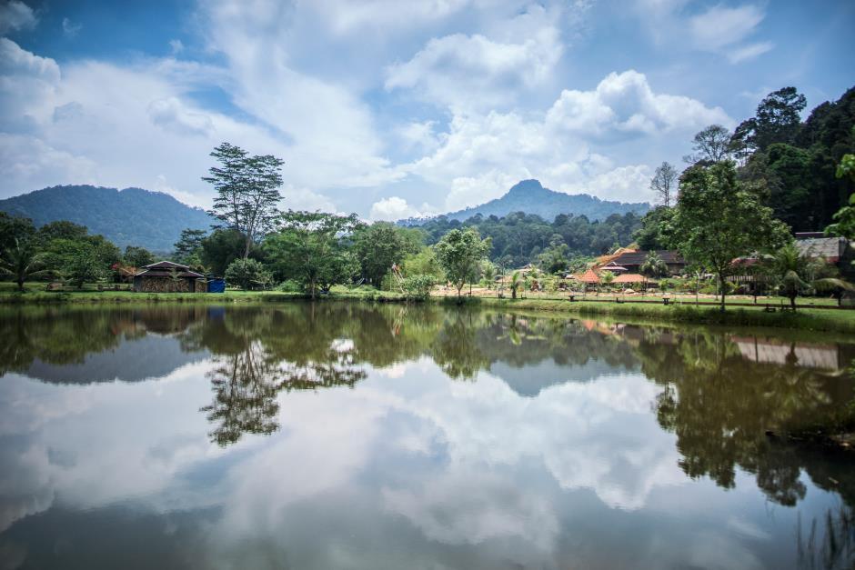 Kota Rainforest Resort
