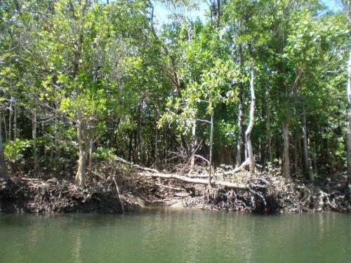Daintree Village Hideaway