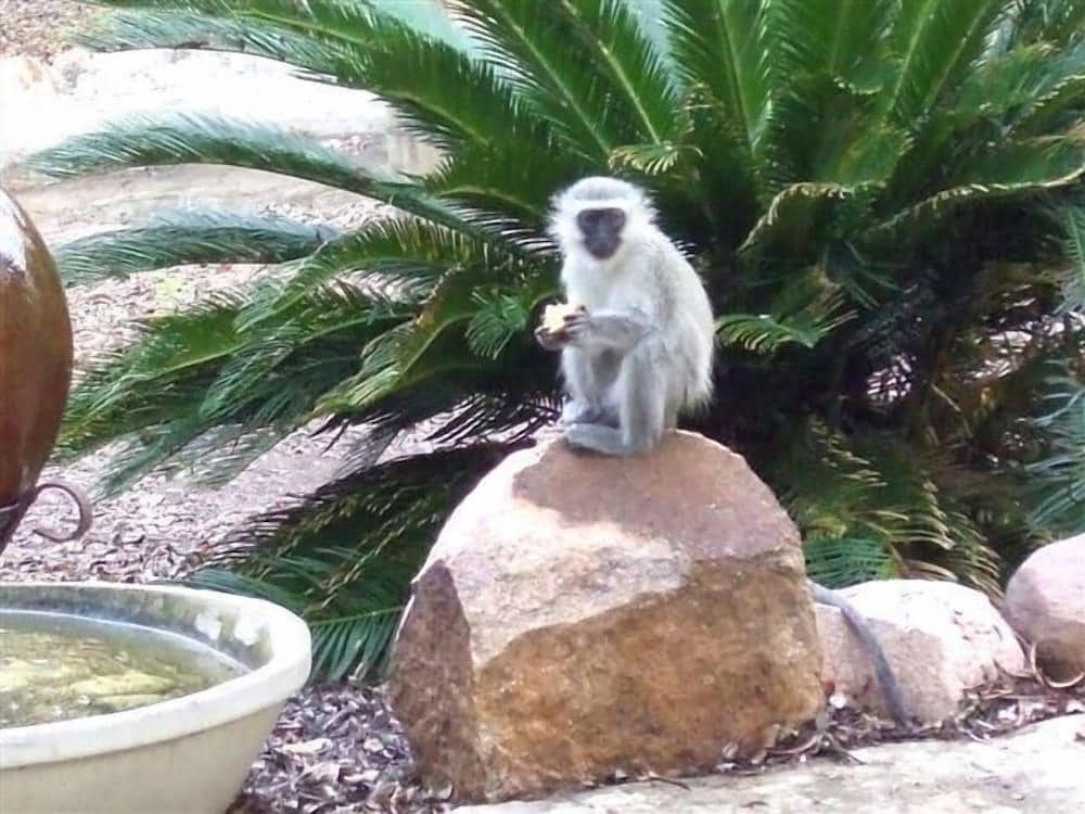Marloth Kruger Lodges