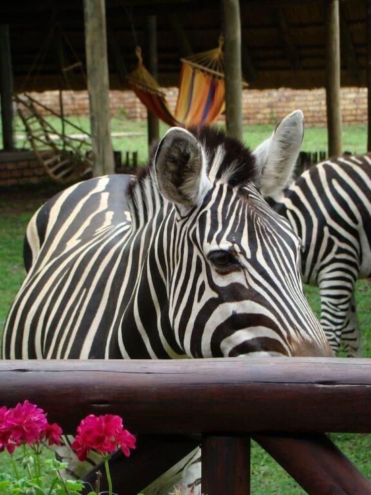 Marloth Kruger Lodges