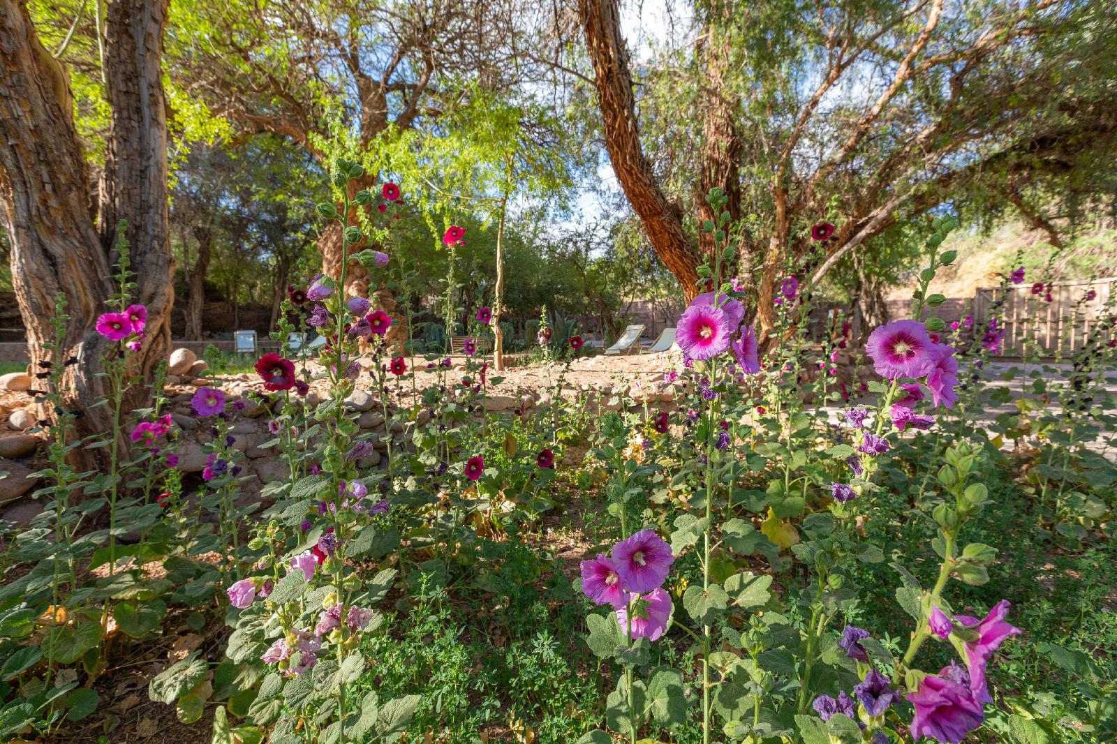 Casa Solcor Boutique Bed & Breakfast