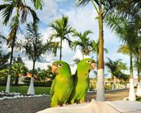 Hotel Rosalinda Campestre del Llano