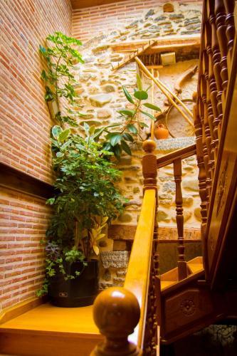 Hotel Jacobeo