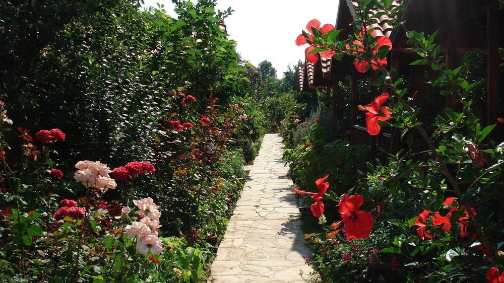 Portakal Bahcesi