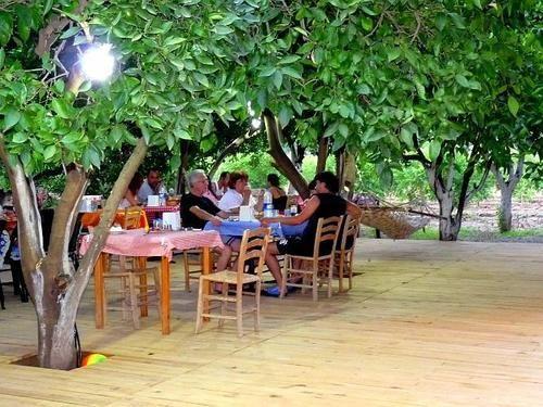 Portakal Bahcesi