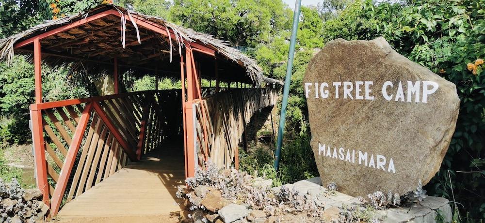 Fig Tree Camp