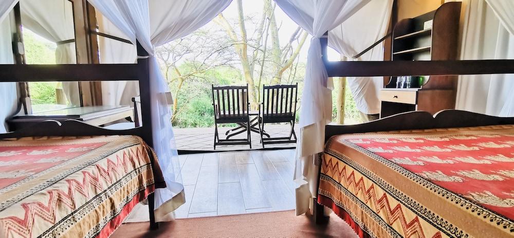 Fig Tree Camp