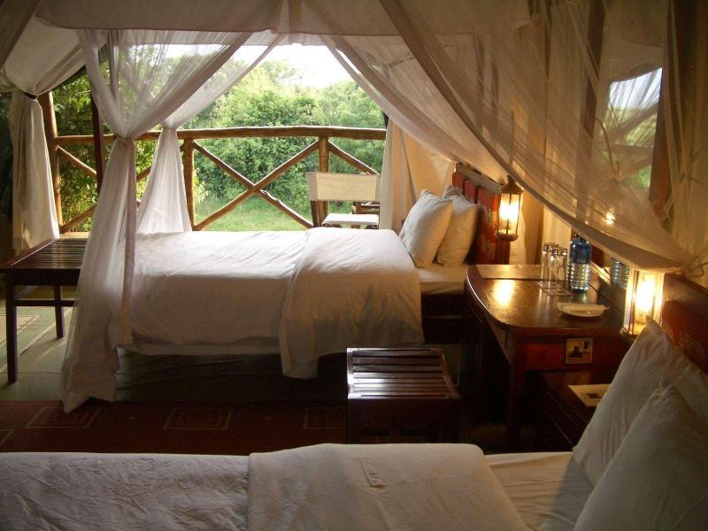 Fig Tree Camp
