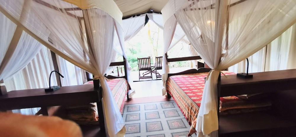 Fig Tree Camp