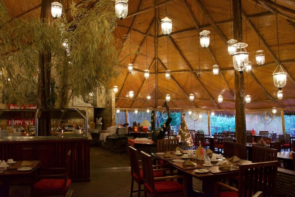 Fig Tree Camp