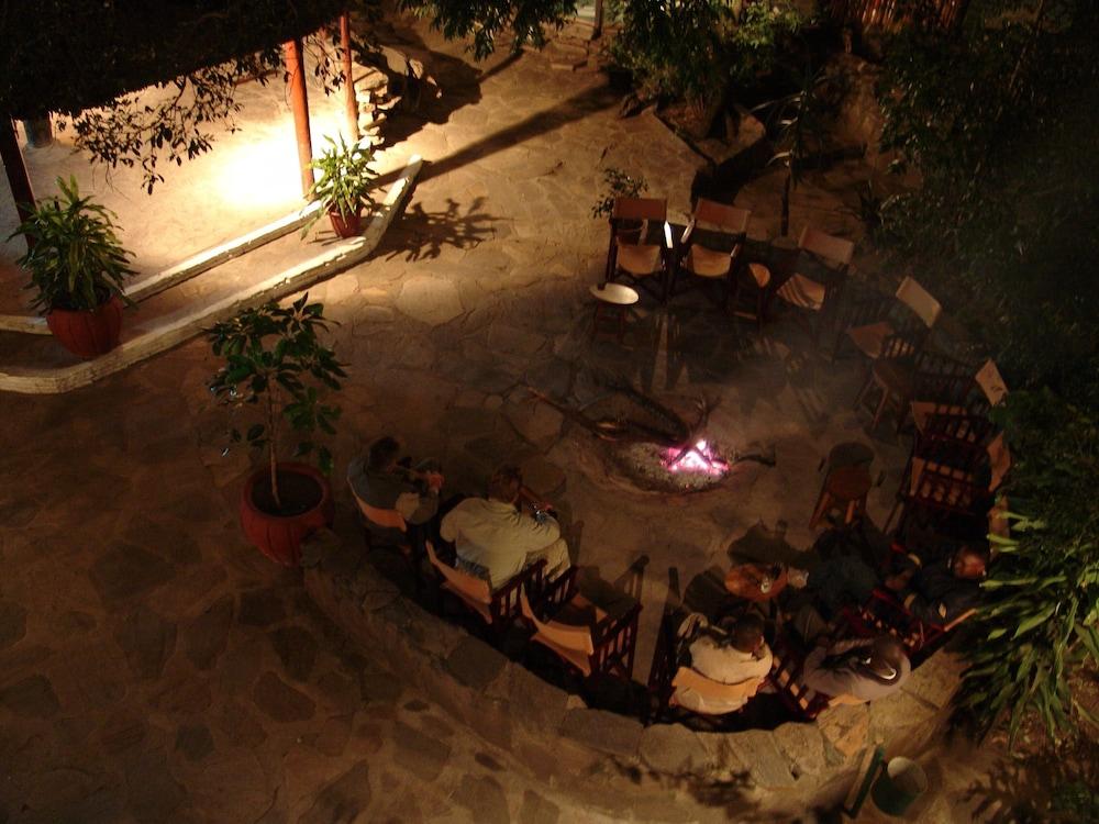 Fig Tree Camp