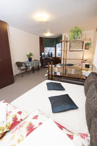 Guest House Drusva