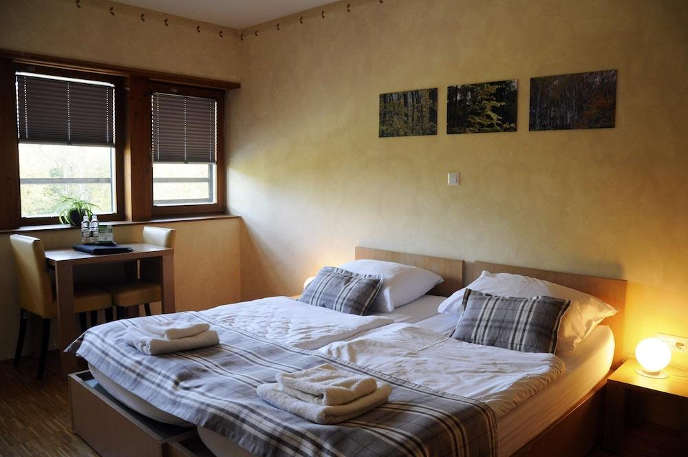 Celjska Koca Hotel - Celje