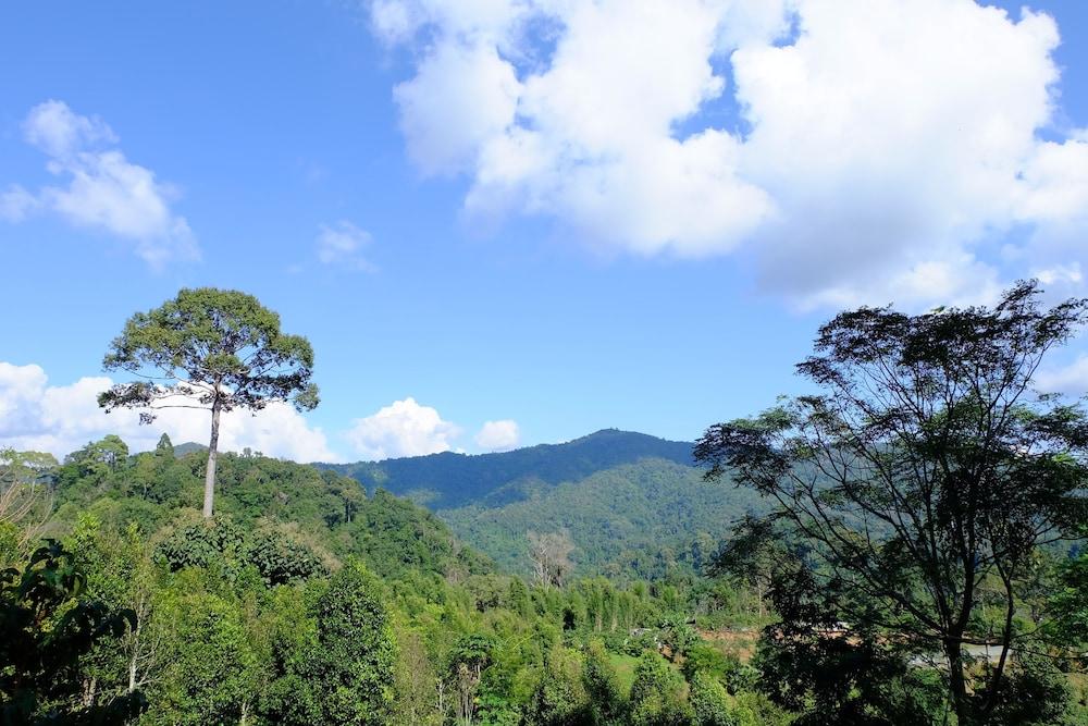 Mok Far Mont Ngo Resort