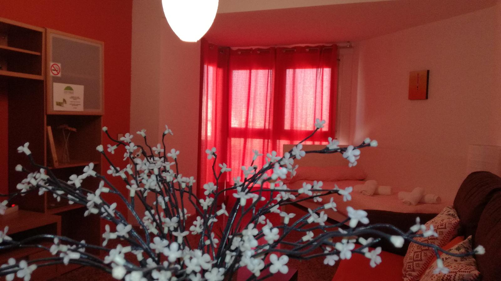 Apartamentos Dos Torres Alierta
