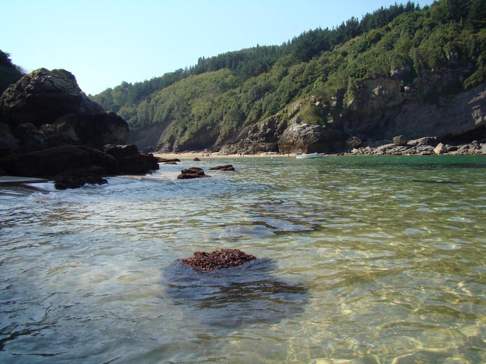 Bekale