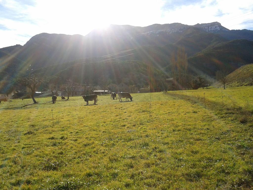 Camping El Jabalí Blanco