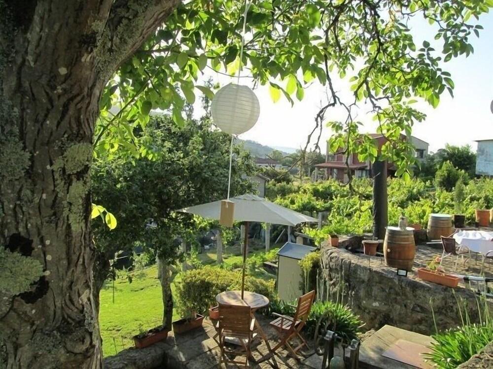 Vinosobroso Turismo Del Vino