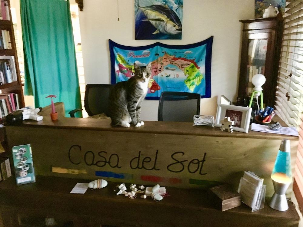 Casa Del Sol Bed And Breakfast
