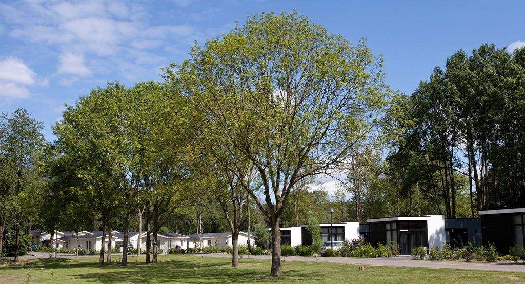 EuroParcs Spaarnwoude