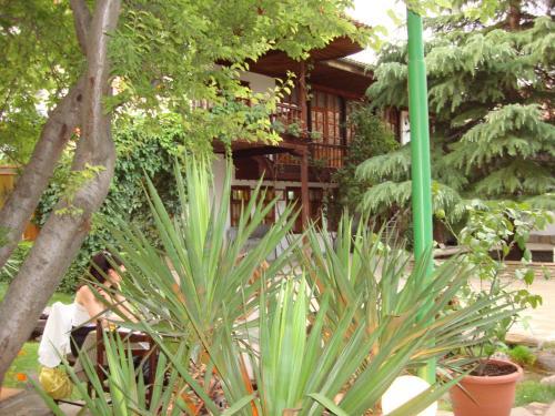 Chakarova Guest House