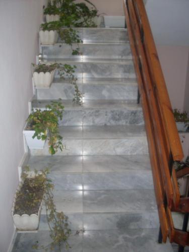 Guest House Kolev