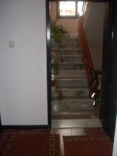Guest House Kolev