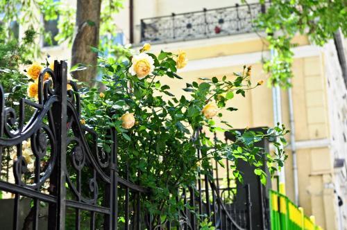 L'Opera Guest House