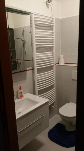 Hotel Koruna