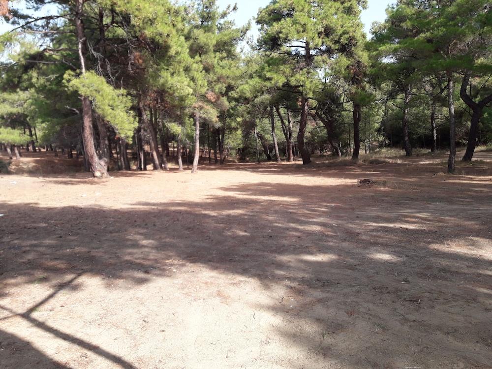Hotel King Korkmaz