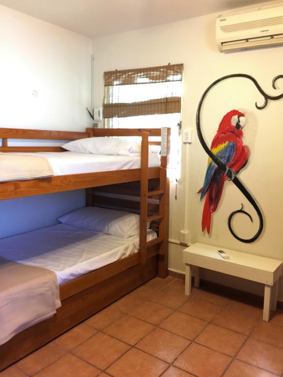 Casa Caracol Hostel