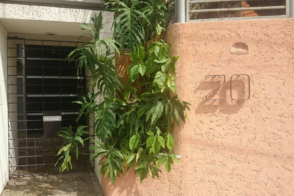 Casa Caracol Hostel