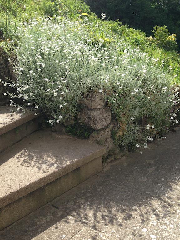 Romantik Pension Die Haslachmuhle