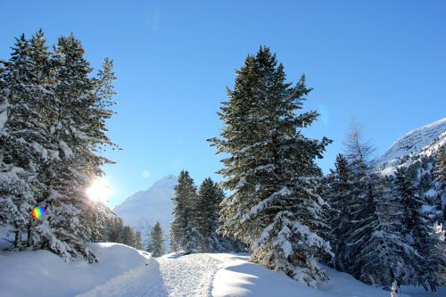 Garni Stefani