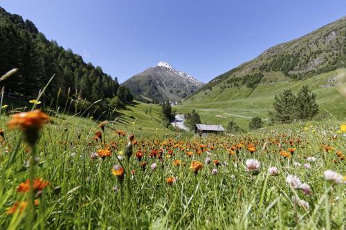 Garni Stefani